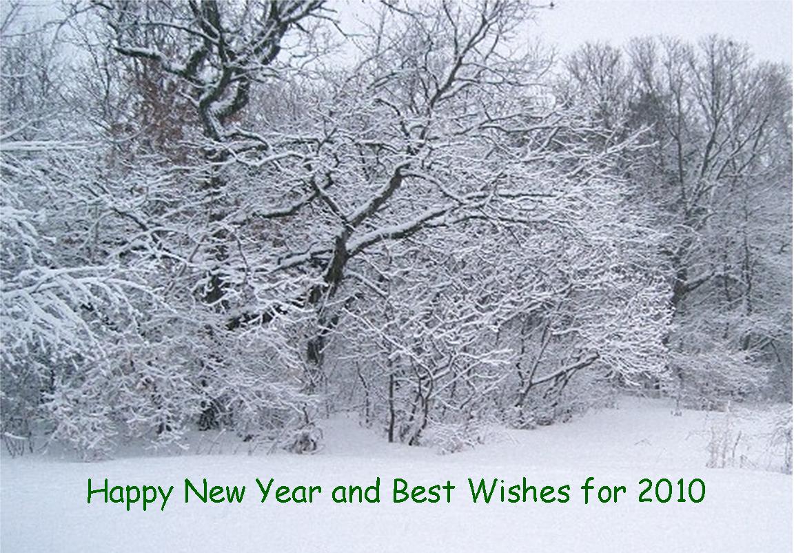 New Year's Greetings